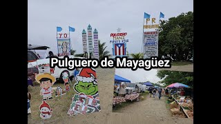 Pulguero de Mayagüez noviembre 2023 fleamarket pulguero vlogpuertorico [upl. by Arlo]