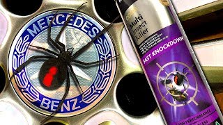 Redback Spider Mercedes Benz AGAIN Spider Spray Vs Flamethrower [upl. by Krigsman977]