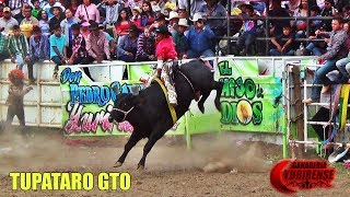 SON UNOS TORAZOS ESTOS EJEMPLARES ¡ Ganaderia La Yurirense en Tupataro Gto 2018 [upl. by Chicoine]