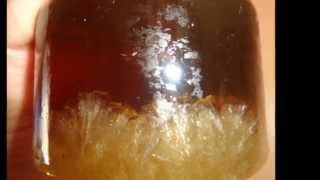 How make STEVIAS SUGARS Crystals at Home Стевия EASILY STEVIJOS CUKRUS [upl. by Cynera]