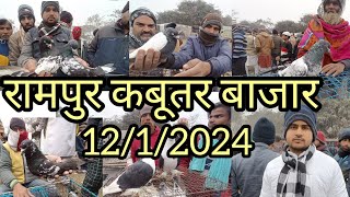 Rampur Kabutar market 1212024 [upl. by Nylorak]