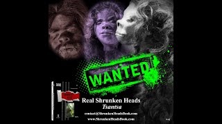 Shrunken Heads Book  McGinty  Oddities amp Curiosities [upl. by Leodora]