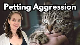 Cat attacking when petted Theres a compassionate way to stop it [upl. by Nylde]