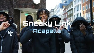 Krillz  Sneaky Link Acapella E minor 149bpm [upl. by Alehc61]