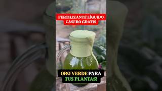 Oro Verde para tus Plantas 🦠 Fertilizante Casero GRATIS en 1 Min [upl. by Hibbitts85]