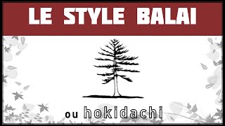 LE STYLE BALAI ou HOKIDACHI ðŸŒ± NEJIKAN BONSAI ðŸŒ± [upl. by Ahseiyn511]