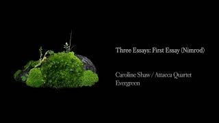 Caroline Shaw amp Attacca Quartet  Three Essays First Essay Nimrod Official Audio [upl. by Adnak106]