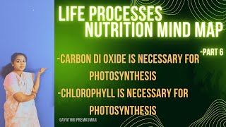 Life processesactivity lifeprocesses class10 biology cbse [upl. by Lacy]