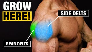 Shoulder Exercise  Get Big Shoulders SIDE AND REAR DELTS [upl. by Lewie620]