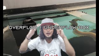 Underflow  Overflow box  200 Gallons Sump  Detailed explanation [upl. by Etna998]