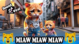 Miaw miaw miaw miaw Song sad story Father and Kitten FULL😭 cat aicat catlover cats [upl. by Ettezus287]