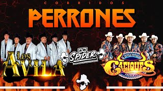 Los Avila Ft Los Caciques De san luis Corridos Perrones 2021 [upl. by Heddy]