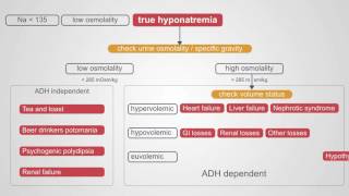 Diagnosing Hyponatremia A Comprehensive Algorithm [upl. by Werby]