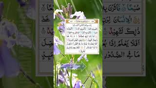 Surat AlAdiyat The Courser سورة العاديات viral trending youtube ytshorts [upl. by Darmit]