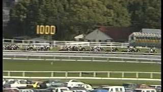 1993 Doncaster Handicap [upl. by Asirram]