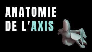 ANATOMIE DE LAXIS C2 [upl. by Sacken753]