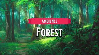 Forest  DampDTTRPG Ambience  1 Hour [upl. by Siuol]