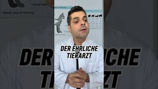 Der ehrliche Tierarzt 😂 comedy lustig humor tierarzt hund katze tiere [upl. by Aikit]