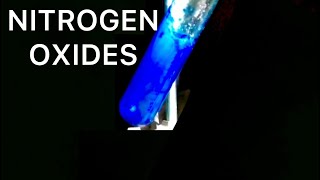 Making Dinitrogen Trioxide and Nitrogen Dioxide 12 [upl. by Suriaj]