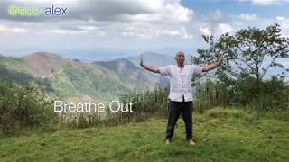 The 8 Brocades Qi Gong Practice Part 1 of 8 [upl. by Anohsal794]