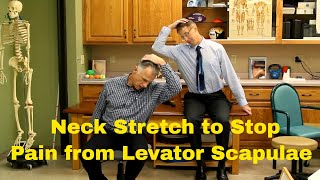 Fastest Neck Stretch to Stop Pain from Levator Scapulae [upl. by Ellenej33]