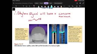 What is Capillary Action [upl. by Fairfax]