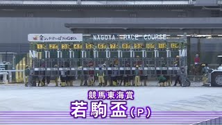 【若駒盃 P】 2024 88 名古屋競馬場 優勝馬ケイズレーヴ号 [upl. by Merrell]