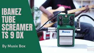 REVIEW IBANEZ TUBE SCREAMER TS9 DX PEDAL  MUSIX BOX DEMO [upl. by Hallam966]