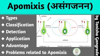 Apomixis  Facultative apomixis  Obligative apomixis  Recurrent Apomixis  by Tanisha Gangrade [upl. by Arymahs]