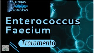 ENTEROCOCCUS FAECIUM Frequência Medicina Quântica Fonte de vida [upl. by Fricke]