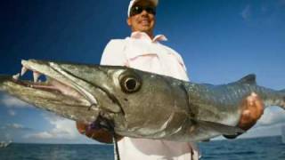 AVALON Caribbean fishing cuban destinations [upl. by Westfahl319]