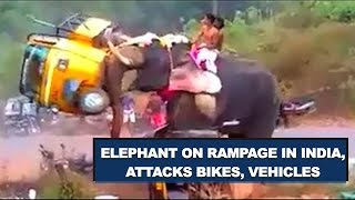 FULL VIDEO Angry Elephant on rampage in Kerala  INDIA Palakkad [upl. by Enamart]