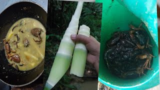 hunting fish crap and snail cooking and eating [upl. by Showker]