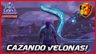 Cómo hacer la mision del velona en Genesis 2  Velonasaur Stalk  ARK sin MODS [upl. by Akinaj]