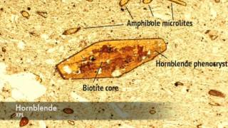 Hornblende vs Biotite under PPL and XPL [upl. by Omura193]