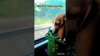 My first train journey [upl. by Je]