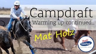 Building on campdraft basics  how to warmup your campdraft horse [upl. by Rosenzweig364]