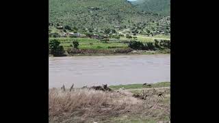 Trekking along the MASSIVE Tugela River [upl. by Haibot]