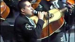 MARIACHI VARGAS DE TECALITLAN EL PASTOR [upl. by Rayshell363]