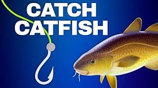 Amazingly Easy Do It YourSelf CatFish Rig [upl. by Pamela]