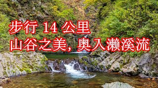 日本旅游 “Oirase Keiryu”（青森县） [upl. by Aicargatla]