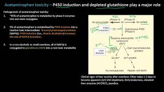 Acetaminophen or Tylenol Toxicity  Lect 19  Pharmacology [upl. by Ileana]