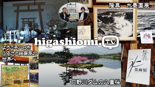 higashiomiTV  256☆「ようこそ八日市ふるさと絵屏風の世界へvol3」と「日野川ダムの八重桜」をリポート✨そして「隆真 水墨画展」の紹介です！ [upl. by Brynn]