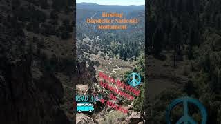 Birding Bandelier National Monument FULL Video linked birding [upl. by Attayek954]