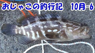 おじゃこの釣行記10月 6 サビキ釣り クエに40cmグレも！！ [upl. by Luce]