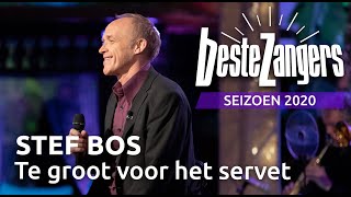 Stef Bos  Te groot voor het servet  Beste Zangers 2020 [upl. by Estevan669]