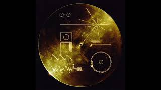 The Sounds Of Earth  The Voyager Golden Record [upl. by Judye848]