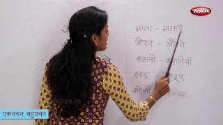 Singular and Plural Words in Hindi  एकवचन बहुवचन  Change the Form of Hindi Words [upl. by Yrruc]