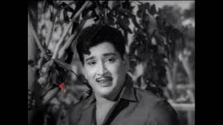 Panakkara Pillai Tamil Full Length Movie  Ravichandran  Jayalalithaa  Nagesh  HD [upl. by Eusassilem]