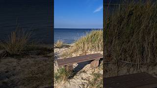 Strandaufgang mit Bank  Neuendorf auf der Insel Hiddensee  19102024 nature travel art love [upl. by Ordnas]